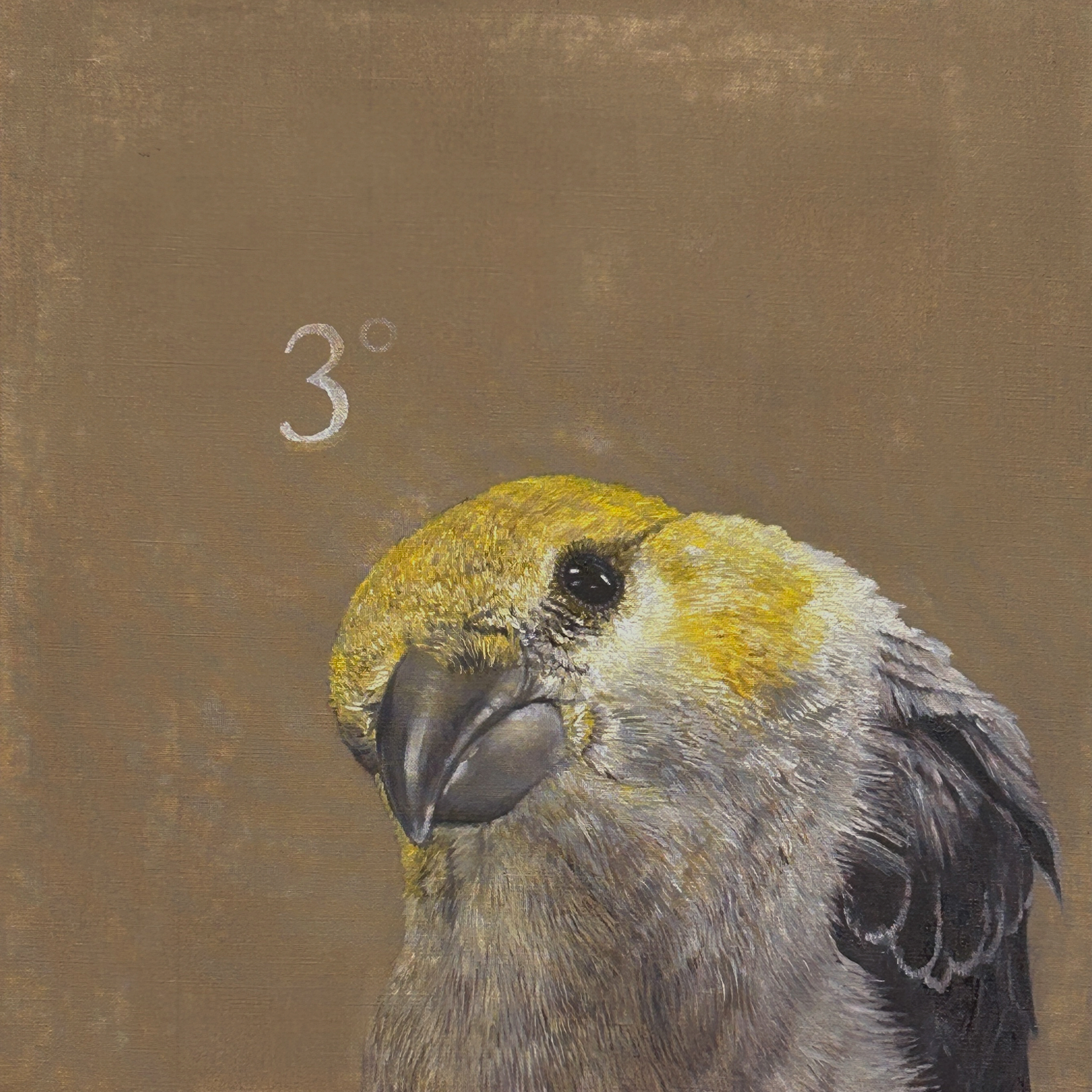 Civic Minds + Creative Hearts: Birds and Climate Change - logo